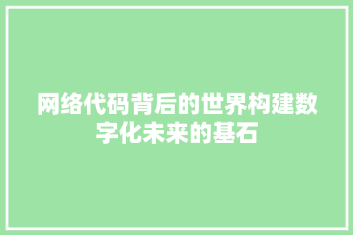 网络代码背后的世界构建数字化未来的基石 百度SEO