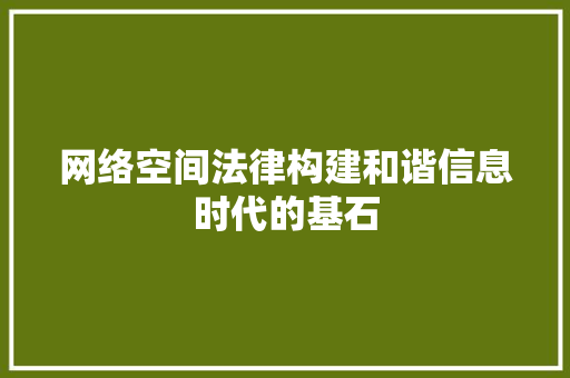 网络空间法律构建和谐信息时代的基石 百度SEO