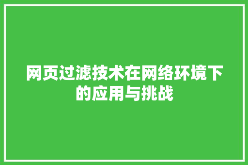 网页过滤技术在网络环境下的应用与挑战 GoogleSEO