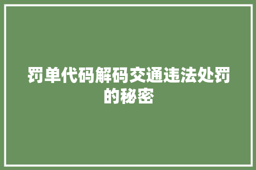 罚单代码解码交通违法处罚的秘密 GoogleSEO
