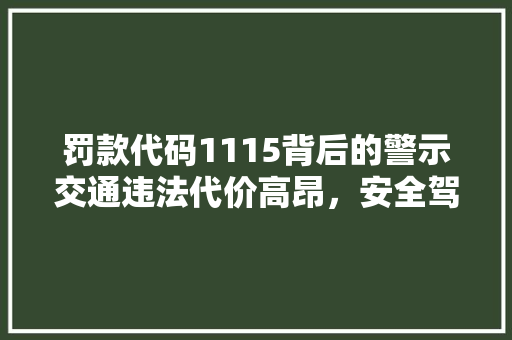 罚款代码1115背后的警示交通违法代价高昂，安全驾驶意识需加强 必应SEO