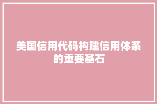美国信用代码构建信用体系的重要基石 必应SEO