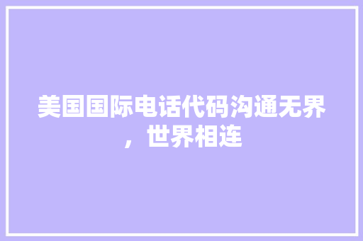 美国国际电话代码沟通无界，世界相连 GoogleSEO