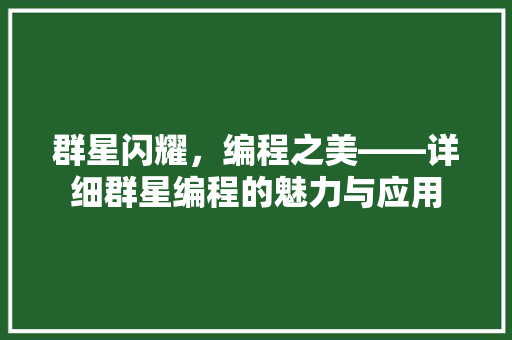 群星闪耀，编程之美——详细群星编程的魅力与应用 GoogleSEO