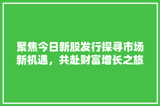 聚焦今日新股发行探寻市场新机遇，共赴财富增长之旅 必应SEO