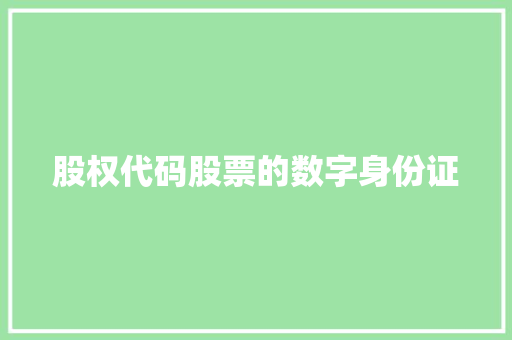 股权代码股票的数字身份证 必应SEO