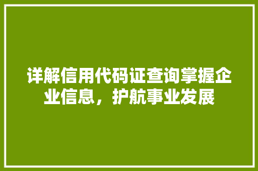 详解信用代码证查询掌握企业信息，护航事业发展