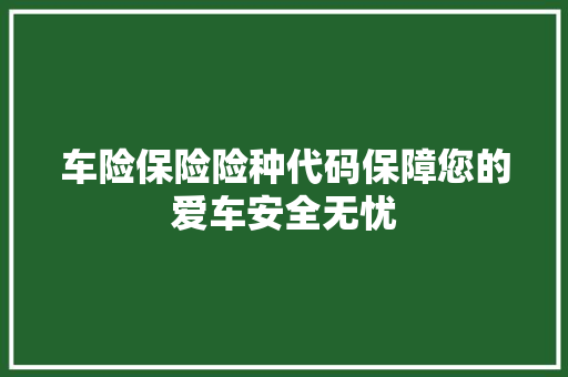车险保险险种代码保障您的爱车安全无忧 GoogleSEO