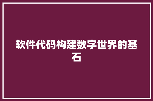 软件代码构建数字世界的基石 百度SEO