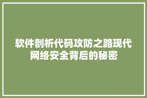 软件剖析代码攻防之路现代网络安全背后的秘密 搜狗SEO