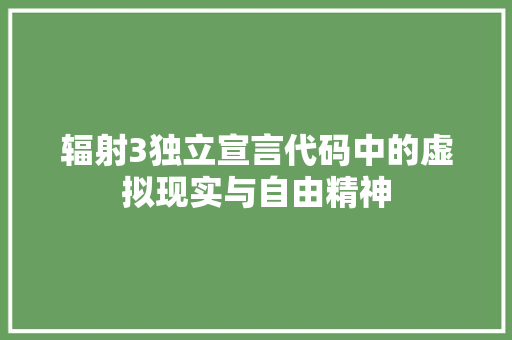 辐射3独立宣言代码中的虚拟现实与自由精神 神马SEO