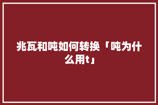 兆瓦和吨如何转换「吨为什么用t」 兆瓦和吨如何转换「吨为什么用t」 必应SEO