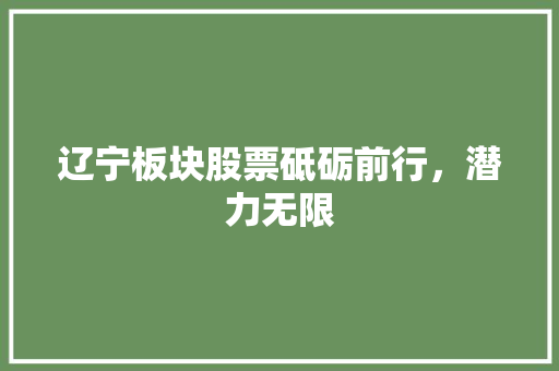 辽宁板块股票砥砺前行，潜力无限 GoogleSEO