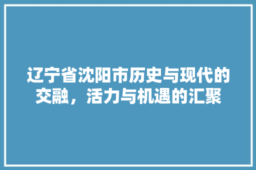 辽宁省沈阳市历史与现代的交融，活力与机遇的汇聚