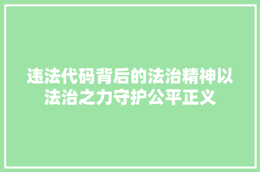 违法代码背后的法治精神以法治之力守护公平正义 搜狗SEO