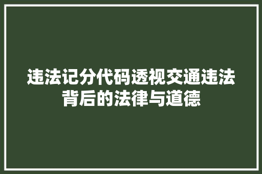 违法记分代码透视交通违法背后的法律与道德 搜狗SEO