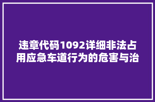 违章代码1092详细非法占用应急车道行为的危害与治理 必应SEO