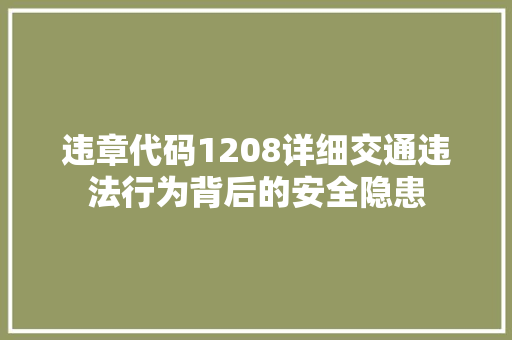 违章代码1208详细交通违法行为背后的安全隐患 搜狗SEO