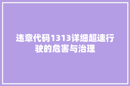 违章代码1313详细超速行驶的危害与治理 神马SEO
