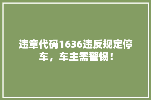 违章代码1636违反规定停车，车主需警惕！ 必应SEO