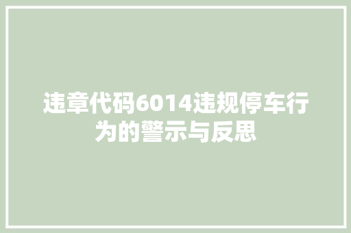 违章代码6014违规停车行为的警示与反思 GoogleSEO