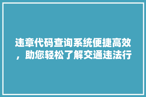 违章代码查询系统便捷高效，助您轻松了解交通违法行为 百度SEO