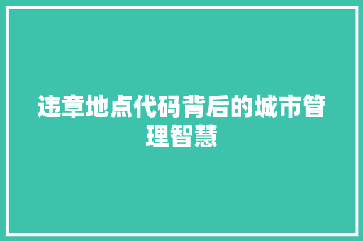 违章地点代码背后的城市管理智慧 GoogleSEO
