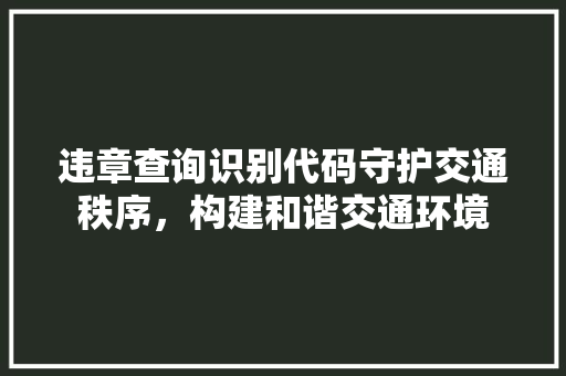 违章查询识别代码守护交通秩序，构建和谐交通环境 必应SEO