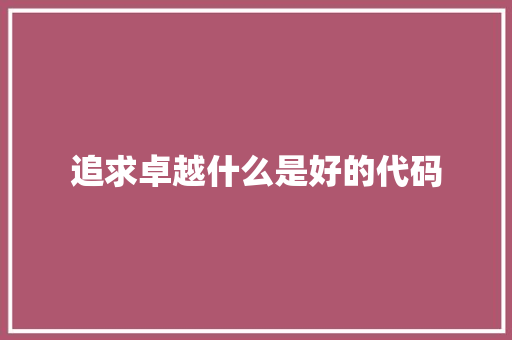 追求卓越什么是好的代码 GoogleSEO