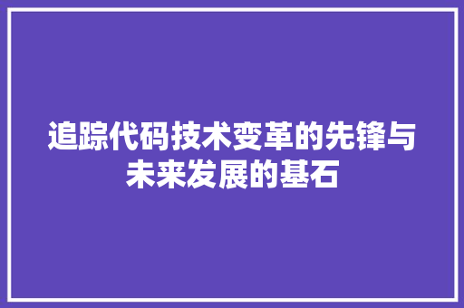 追踪代码技术变革的先锋与未来发展的基石 GoogleSEO