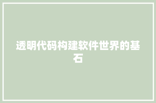 透明代码构建软件世界的基石 百度SEO