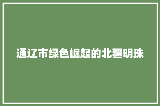 通辽市绿色崛起的北疆明珠 百度SEO