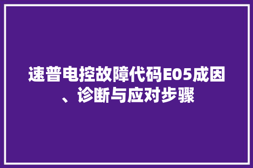 速普电控故障代码E05成因、诊断与应对步骤 必应SEO