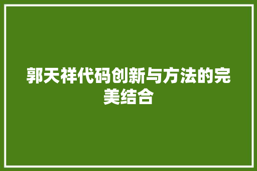 郭天祥代码创新与方法的完美结合 GoogleSEO