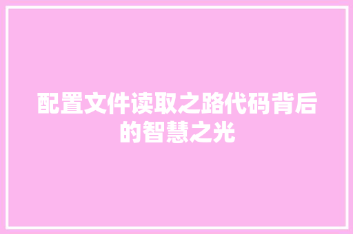 配置文件读取之路代码背后的智慧之光 GoogleSEO