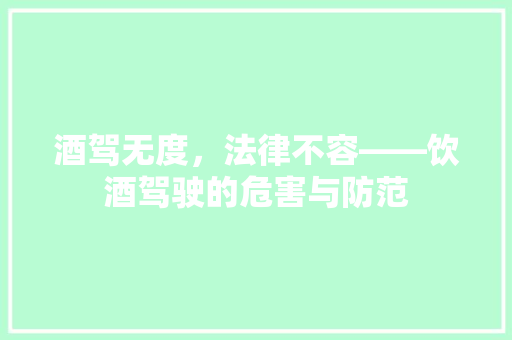 酒驾无度，法律不容——饮酒驾驶的危害与防范 神马SEO