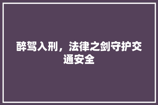 醉驾入刑，法律之剑守护交通安全 百度SEO