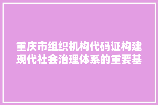 重庆市组织机构代码证构建现代社会治理体系的重要基石 百度SEO