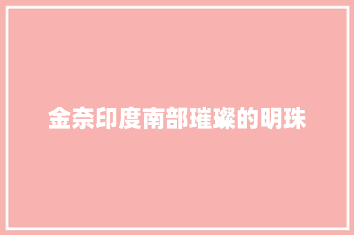 金奈印度南部璀璨的明珠 神马SEO