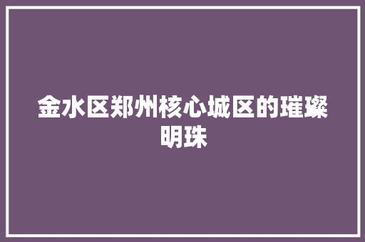 金水区郑州核心城区的璀璨明珠 神马SEO