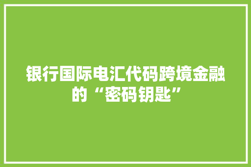 银行国际电汇代码跨境金融的“密码钥匙” 百度SEO