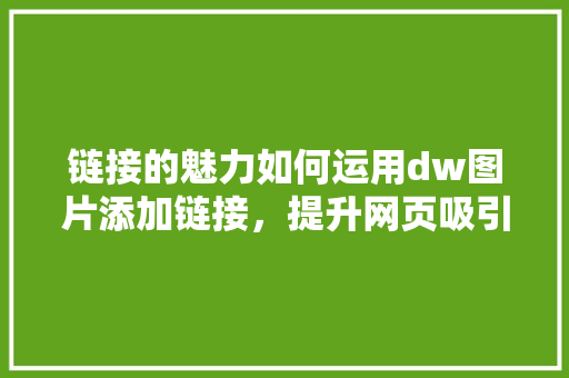 链接的魅力如何运用dw图片添加链接，提升网页吸引力 必应SEO