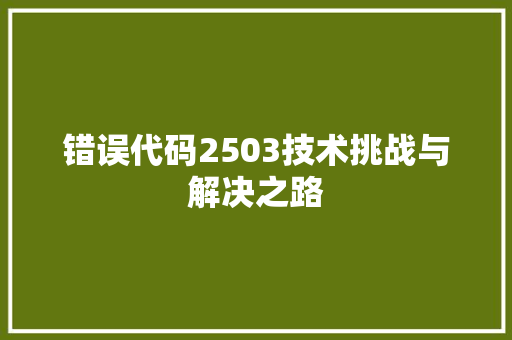 错误代码2503技术挑战与解决之路 必应SEO