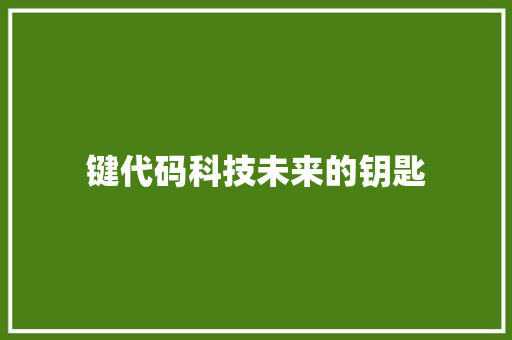 键代码科技未来的钥匙 百度SEO