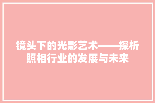 镜头下的光影艺术——探析照相行业的发展与未来 神马SEO