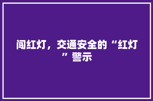闯红灯，交通安全的“红灯”警示