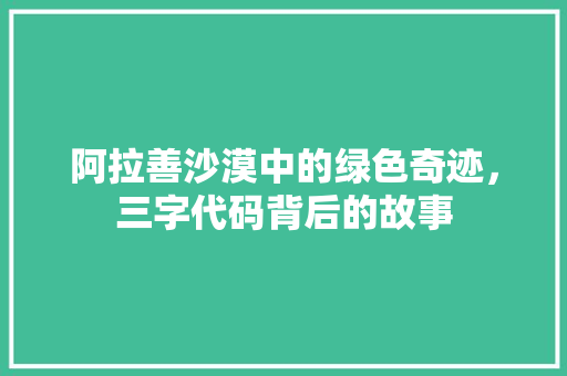 阿拉善沙漠中的绿色奇迹，三字代码背后的故事 必应SEO