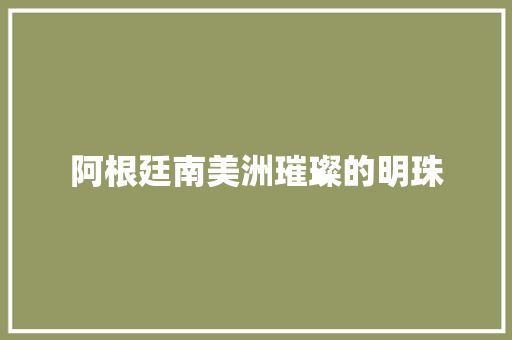 阿根廷南美洲璀璨的明珠 百度SEO