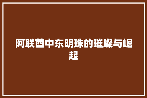 阿联酋中东明珠的璀璨与崛起 必应SEO