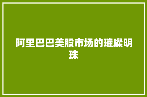 阿里巴巴美股市场的璀璨明珠 GoogleSEO